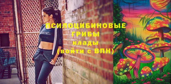 стафф Белокуриха
