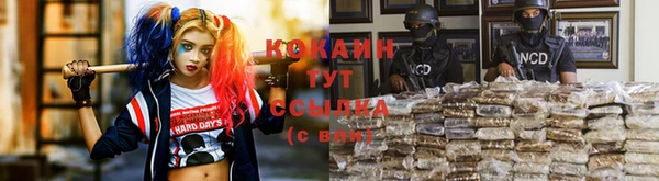 стафф Белокуриха